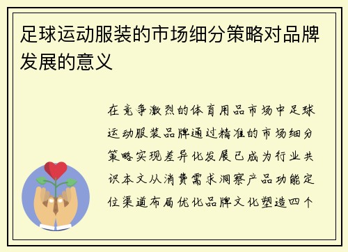 足球运动服装的市场细分策略对品牌发展的意义
